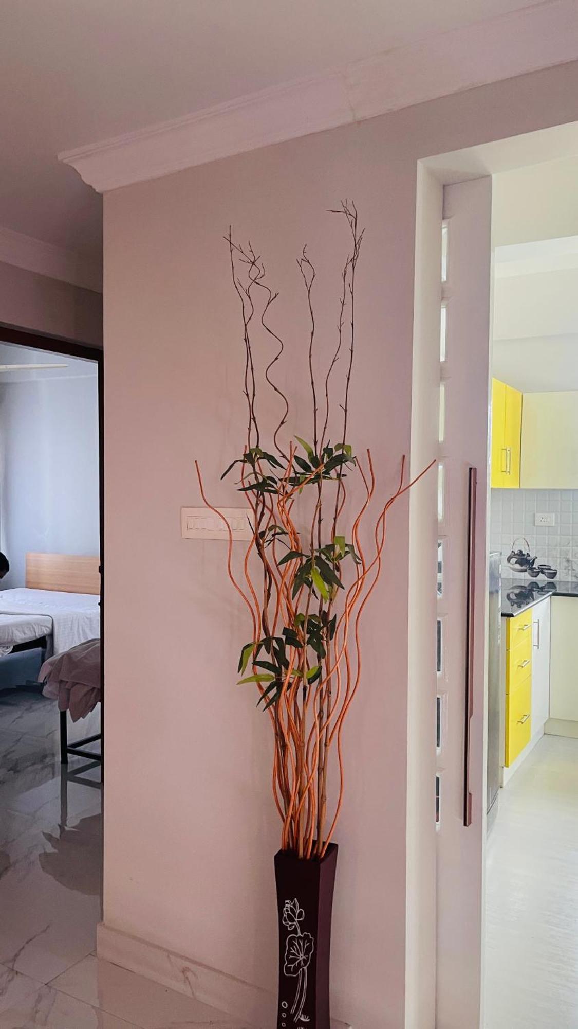 Rajamandiram 3Bhk Ac Apartment In Trivandrum Central トリバンドラム エクステリア 写真